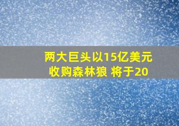 两大巨头以15亿美元收购森林狼 将于20